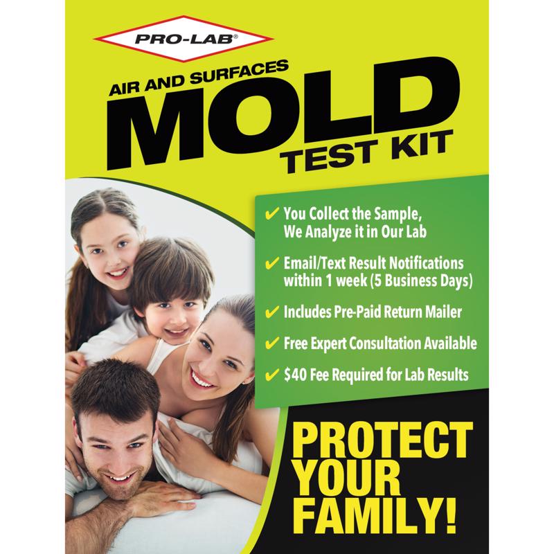 TEST KIT MOLD