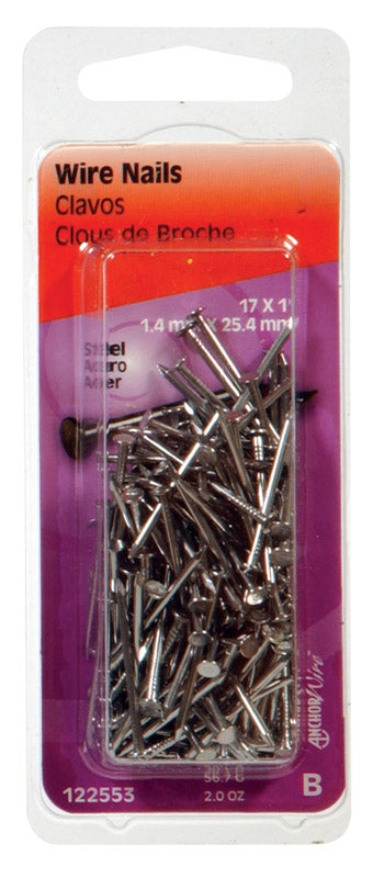 NAIL STEEL 1X17 2OZ