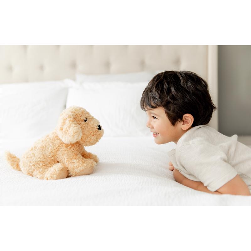 Warmies Stuffed Animals Plush Brown
