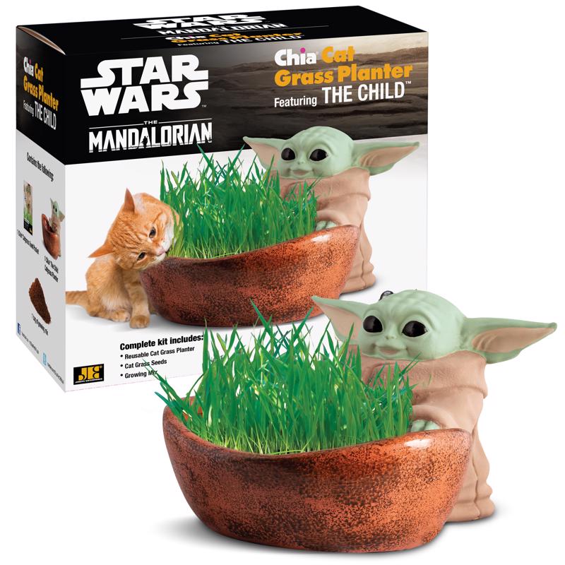 Chia Pet Star Wars Decorative Planter Terracotta Clay 1 pk