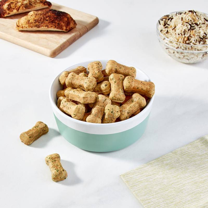 Rise by Dash Polypropylene Dog Treat Maker 6 pc