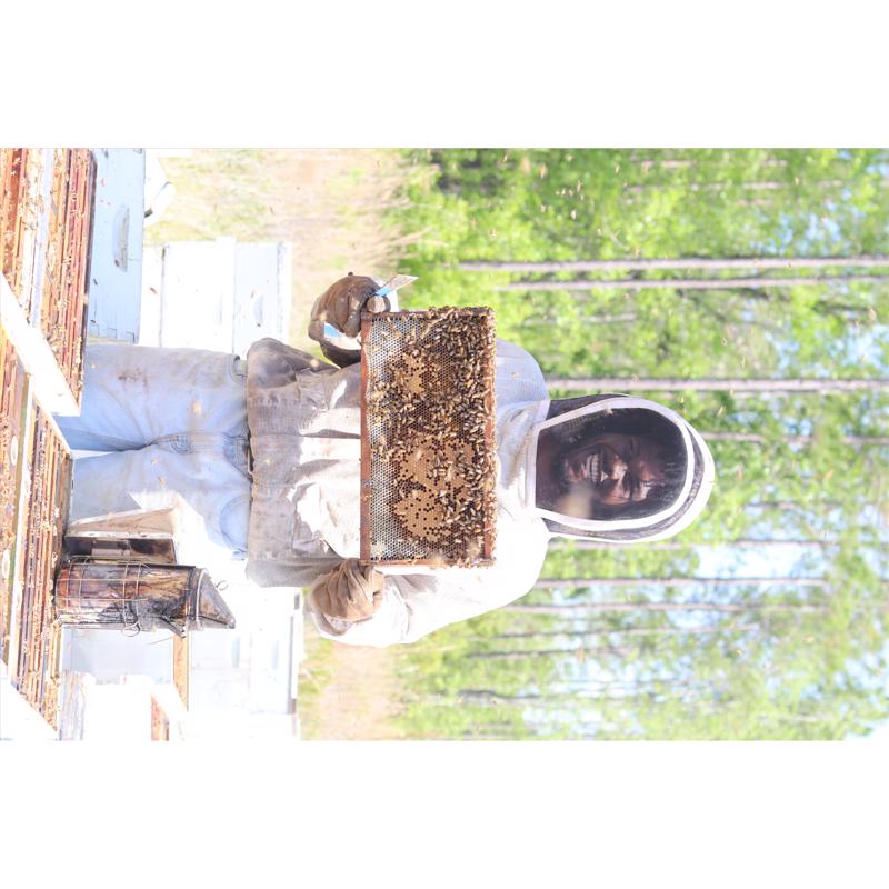 World Honey Market Gallberry Honey 12 oz Bottle