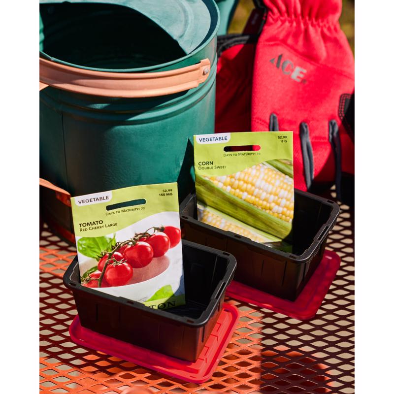 Teeny Tough Box Black/Red Storage Tote Stackable