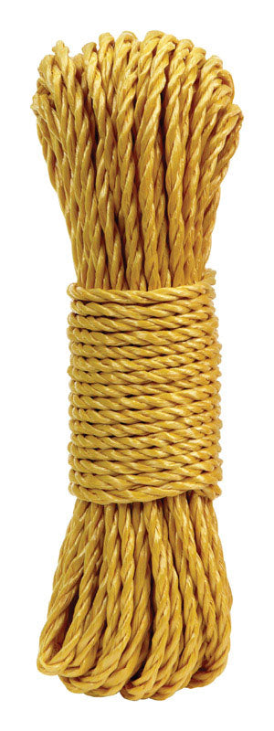 Diamond Visions 0.25 in. D X 72 ft. L Assorted Twisted Poly Rope