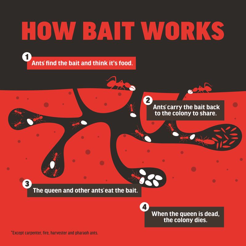 Amdro Ant Killer Bait Station 4 pk