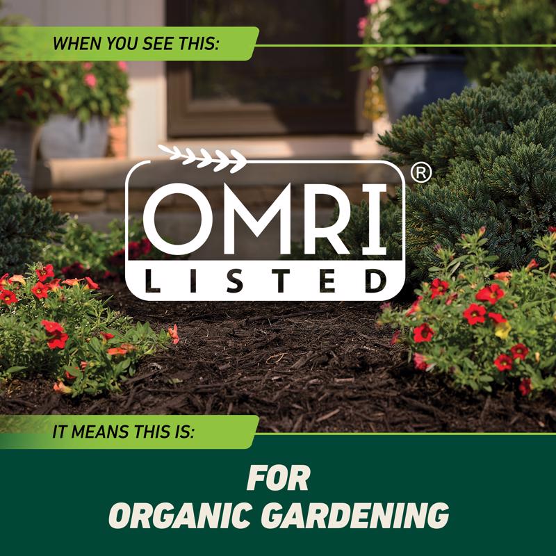 Ortho GroundClear Weed and Grass Killer Refill RTU Liquid 1 gal