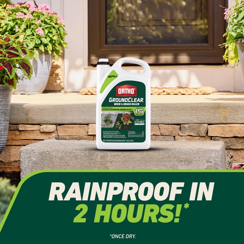 Ortho GroundClear Weed and Grass Killer Refill RTU Liquid 1 gal