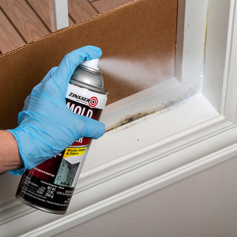 Zinsser Mold Blocking White Water-Based Alkyd Spray Primer 13 oz