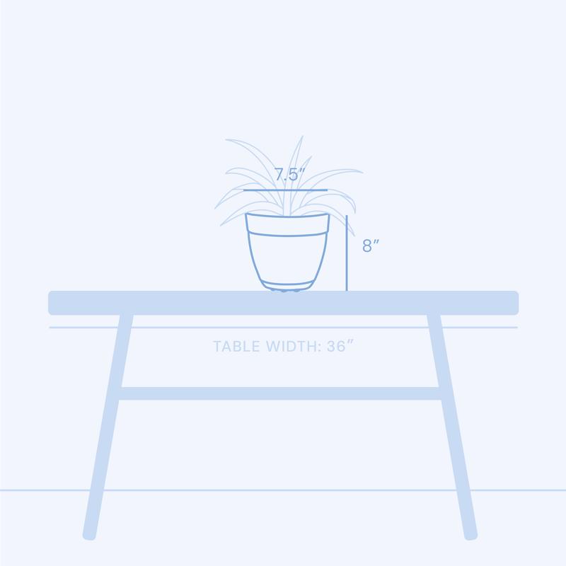 Bloem Dayton 7.5 in. H X 8 in. D Plastic Planter Ocean Blue