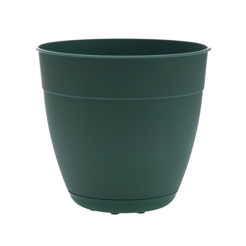PLANTER DAYTN TRTLGRN12"