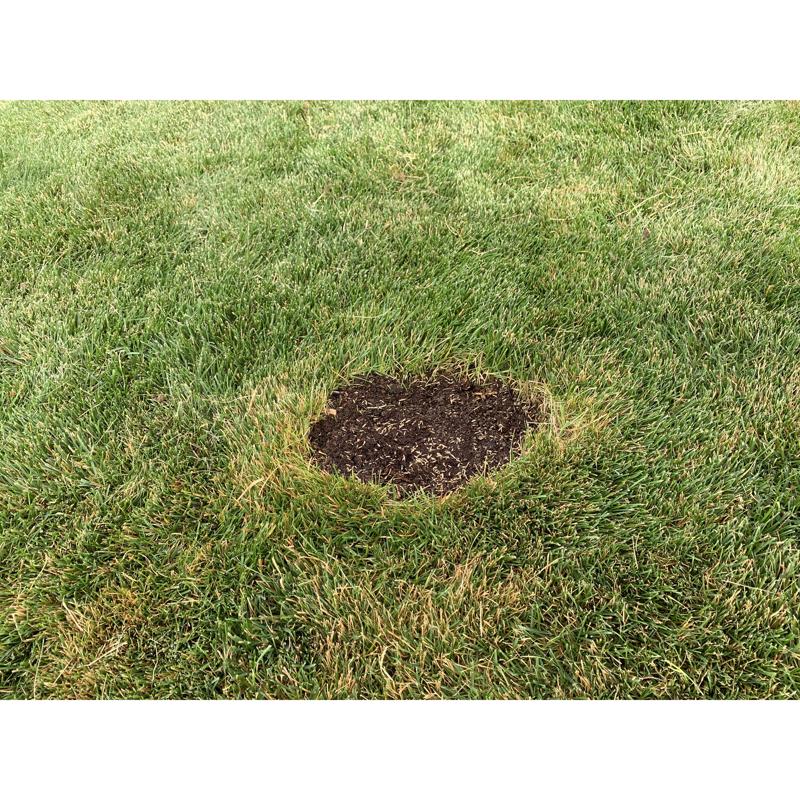 Rapid Repair Pod Mixed Sun or Shade Fertilizer/Mulch/Seed 15 ct