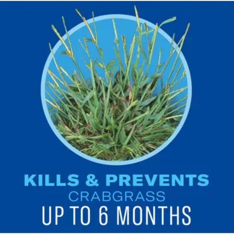 BioAdvanced Weed & Feed Lawn Fertilizer For All Grasses 10000 sq ft