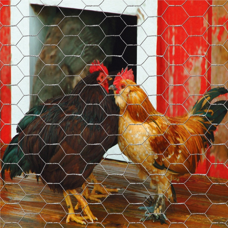 Garden Craft 72 in. H X 50 ft. L Galvanized Steel Poultry Netting 1 in.