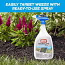 Ortho GroundClear Weed and Grass Killer RTU Liquid 24 oz