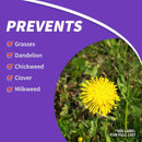 Bonide KleenUp Weed and Grass Killer Concentrate 32 oz