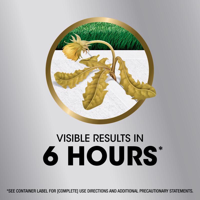 Roundup Dual Action Weed and Grass Killer Concentrate 32 oz