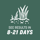 Pennington Kentucky 31 Tall Fescue Grass Sun or Shade Grass Seed 20 lb