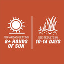 Pennington Smart Seed Bermuda Grass Full Sun Grass Seed and Fertilizer 8.75 lb