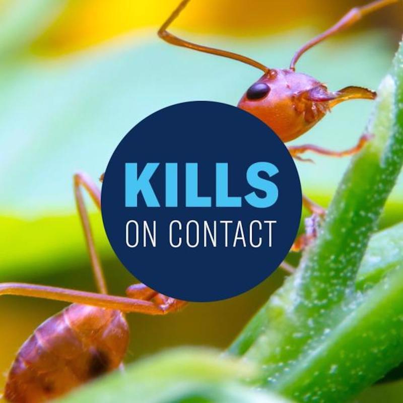 BioAdvanced Lawn Insect and Fire Ant Killer Granules 10 lb