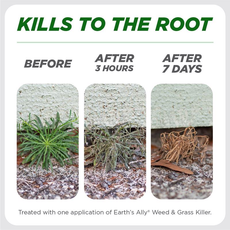 Earth's Ally Grass & Weed Killer RTU Liquid 24 oz