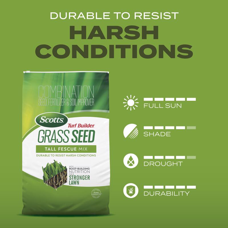Scotts Turf Builder Tall Fescue Grass Sun or Shade Fertilizer/Seed/Soil Improver 5.6 lb