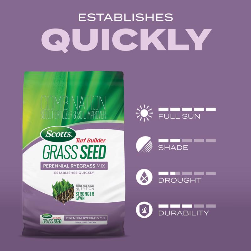 Scotts Turf Builder Perennial Ryegrass Sun or Shade Fertilizer/Seed/Soil Improver 5.6 lb