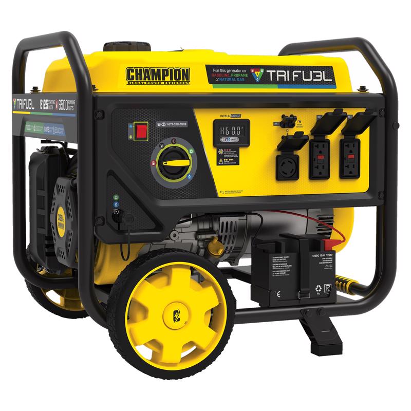 Champion 6000 W Gasoline Portable Generator