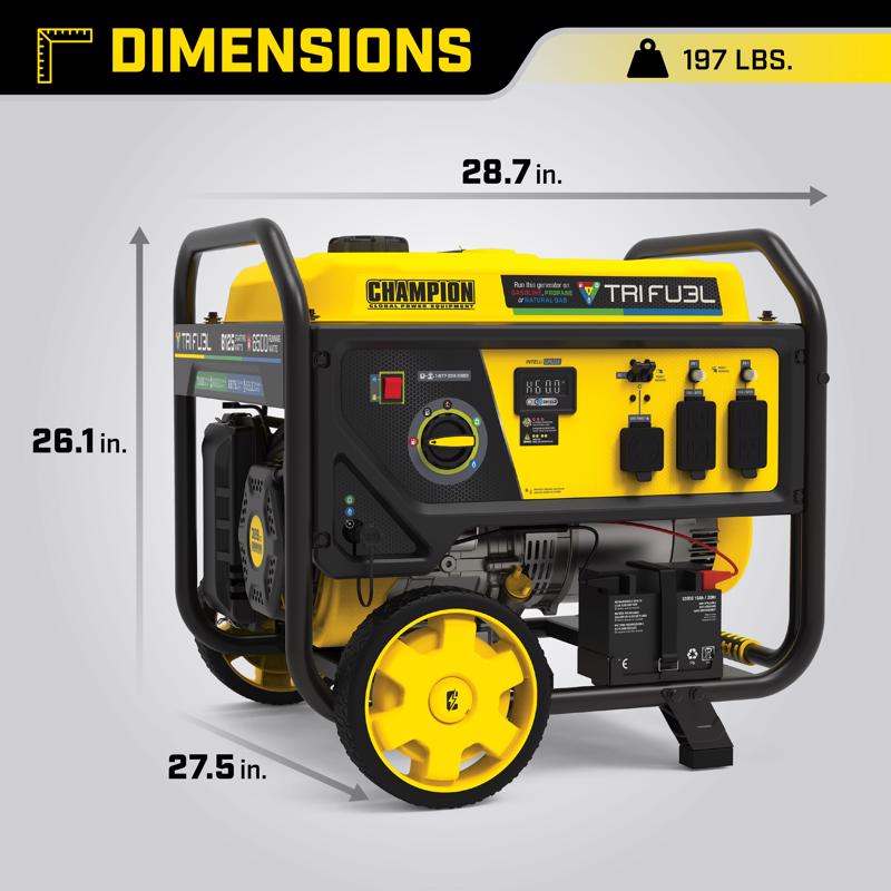 Champion 6000 W Gasoline Portable Generator