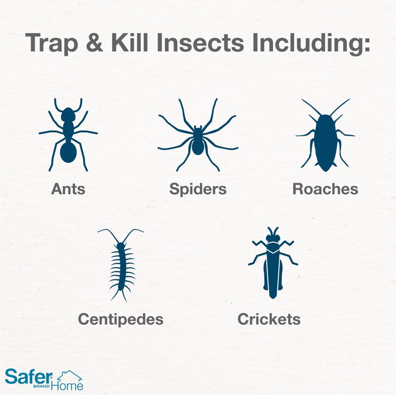 Safer Insect Trap