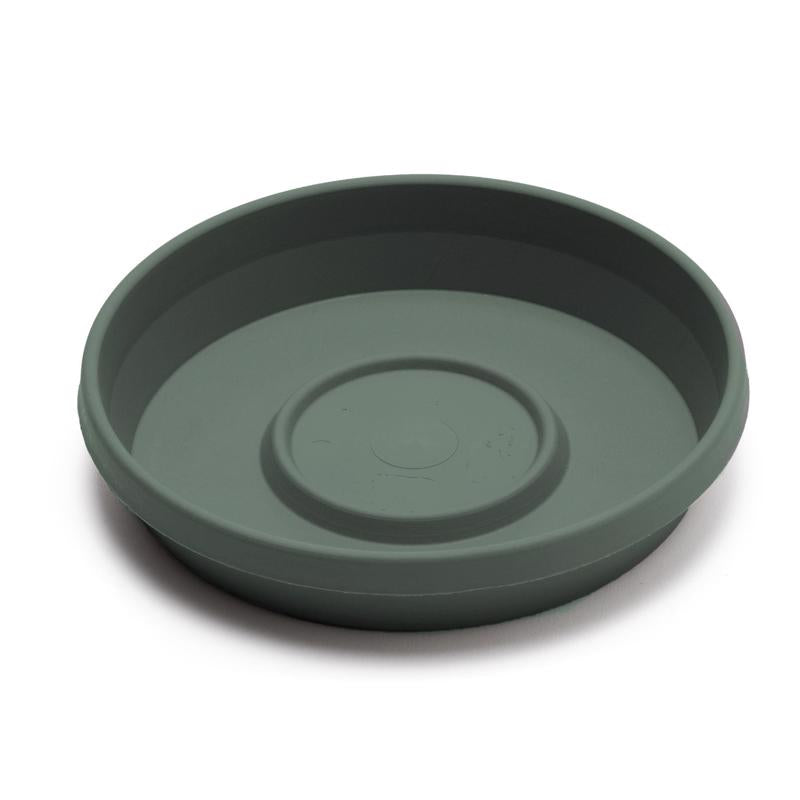 PLNT SCR TRRA GRN 14"