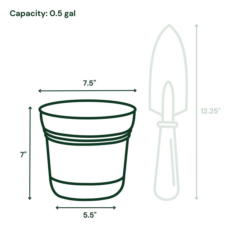 Bloem Saturn 6.5 in. H X 7.25 in. W Plastic Traditional Planter Fuchsia