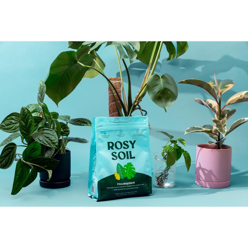 Rosy Soil Organic Indoor Plant Potting Soil 4 qt