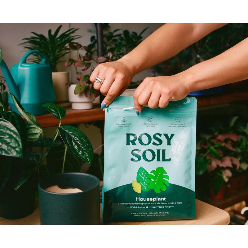 Rosy Soil Organic Indoor Plant Potting Soil 4 qt
