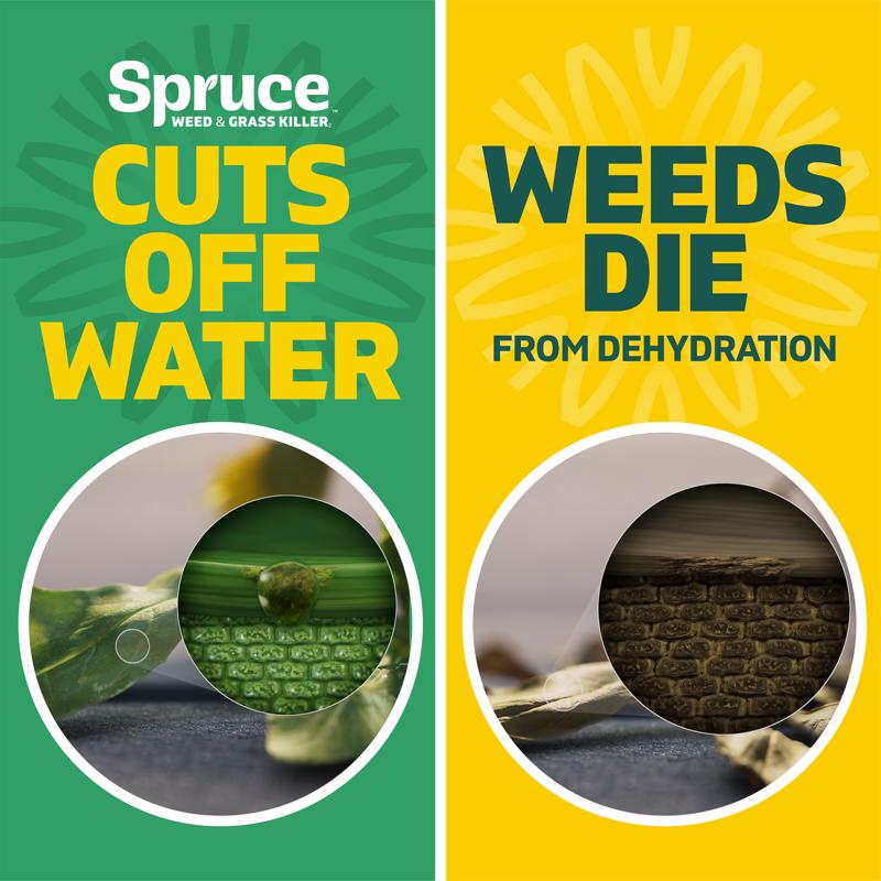 Spruce Snap & Spray Weed and Vegetation Killers RTU Liquid 64 fl. oz.