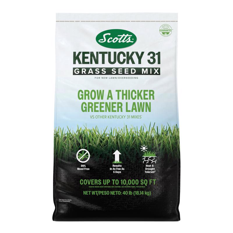 Scotts Kentucky 31 Full Sun Grass Seed Mix 40 lb