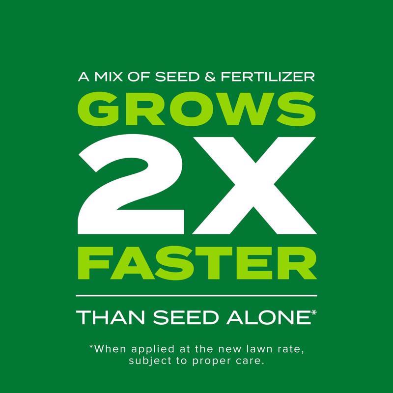Scotts Turf Builder Tall Fescue Grass Sun or Shade Grass Seed and Fertilizer
