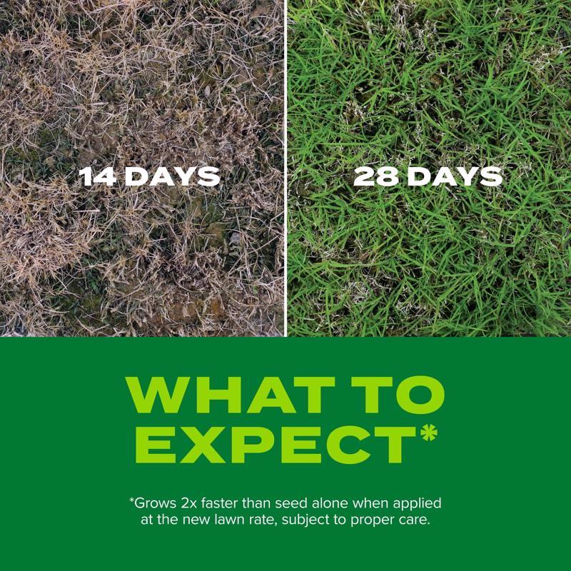 Scotts Turf Builder Bermuda Grass Sun or Shade Grass Seed and Fertilizer