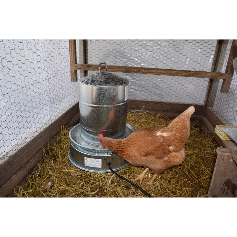 Farm Innovators Fount Heater Base For Poultry