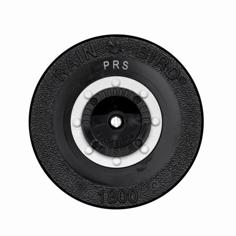 Rain Bird 6 in. H Adjustable Pop-Up Spray Head