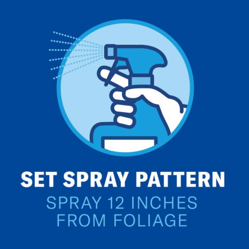 BioAdvanced Insect Disease & Mite Control Spray 24 oz