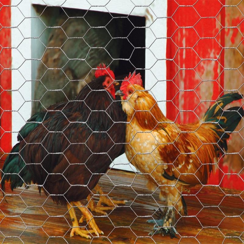 Garden Craft 24 in. H X 150 ft. L Galvanized Steel Poultry Netting 1 in.