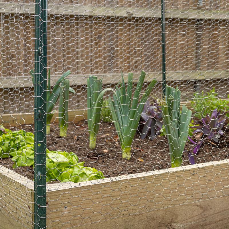 Garden Craft 36 in. H X 150 ft. L Galvanized Steel Poultry Netting 1 in.