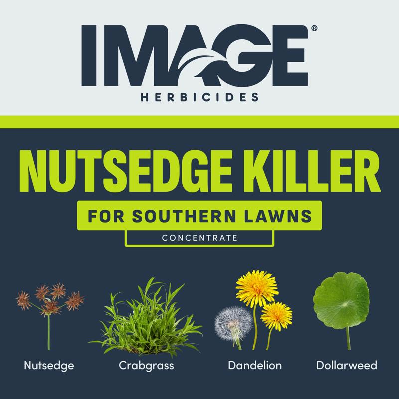 Lilly Miller Image Nutsedge Killer RTS Hose-End Concentrate 32 oz