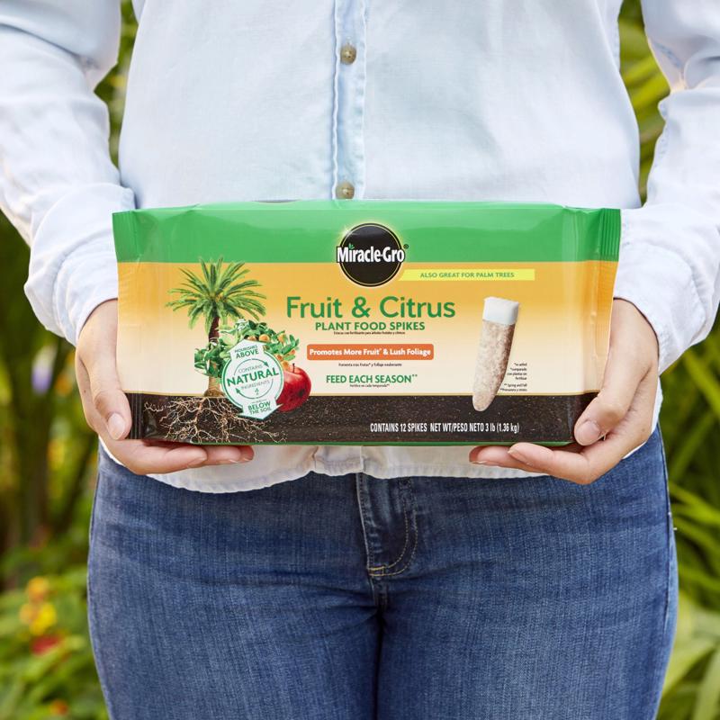 Miracle-Gro Spikes Plant Food 12 pk