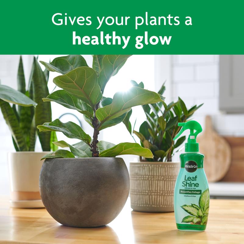 Miracle-Gro Liquid Plant Shine 8 oz