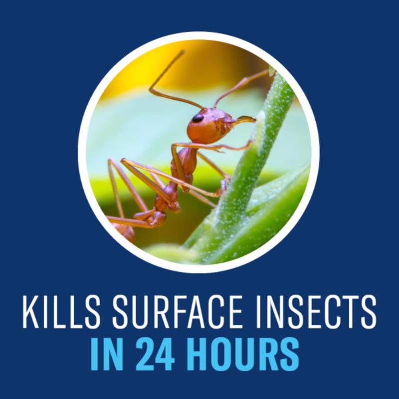 BioAdvanced Complete Insect Killer Granules 10 lb