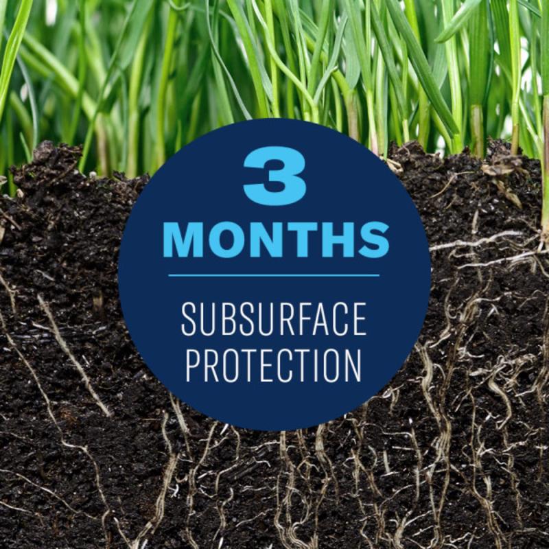 BioAdvanced Complete Insect Killer Granules 10 lb