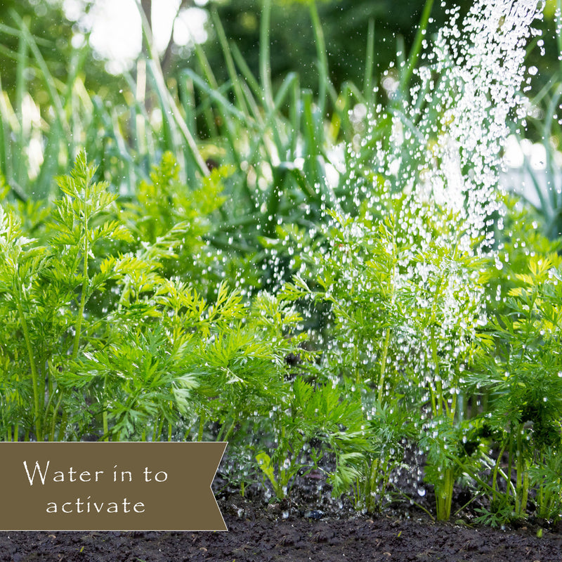 Preen Weed Preventer Granules 5 lb