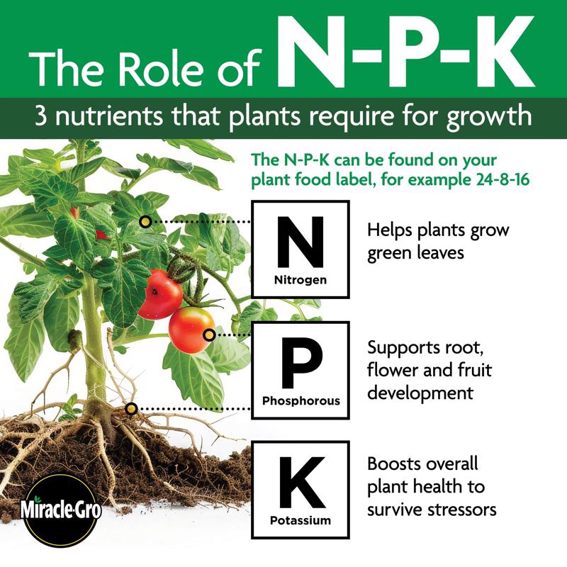 Miracle-Gro Powder Rose Plant Food 1.5 lb