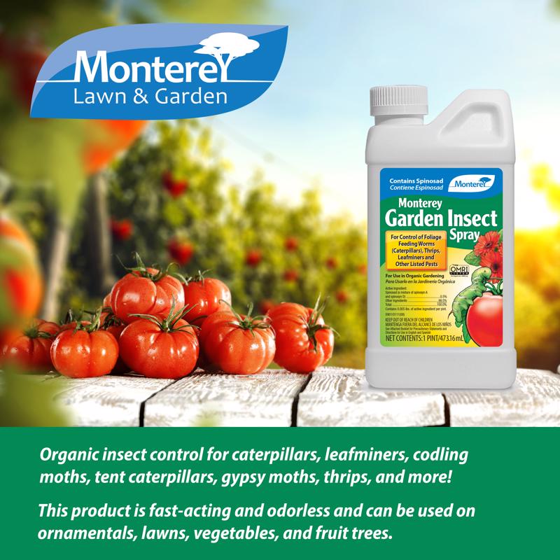 Monterey Organic Insect Killer Liquid Concentrate 1 pt